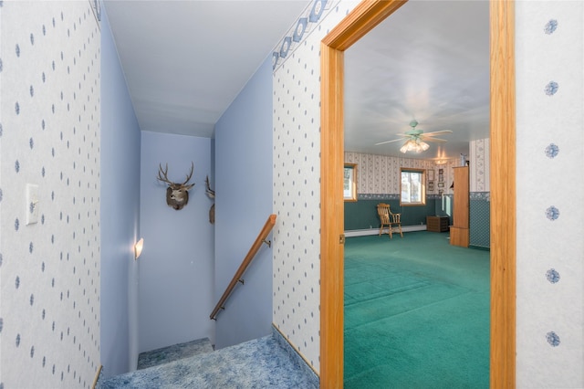 stairway featuring carpet and ceiling fan