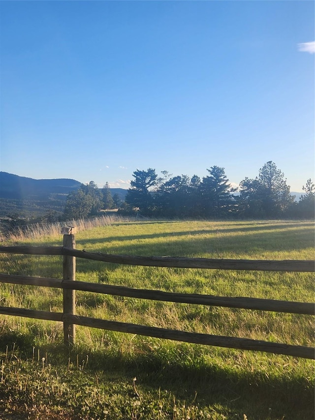 view of yard with a mountain view and a rural view