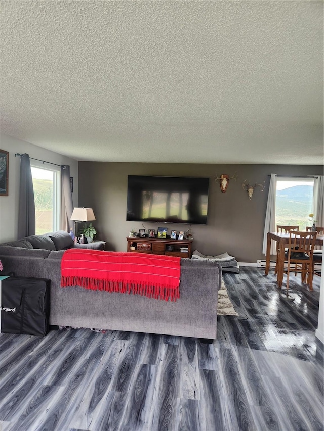 living room featuring dark hardwood / wood-style flooring and a textured ceiling