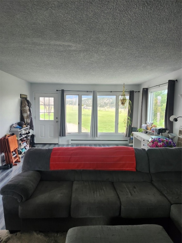 59 N Fork Rd, Townsend, MT 59644 - living area with a textured ceiling and baseboard heating