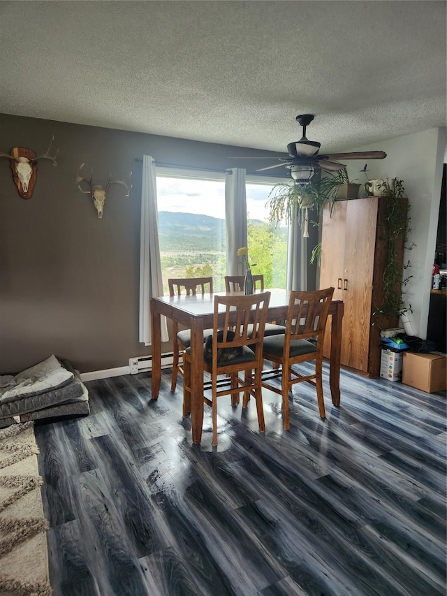 59 N Fork Rd, Townsend, MT 59644 - dining area featuring wood finished floors, a ceiling fan, and a textured ceiling