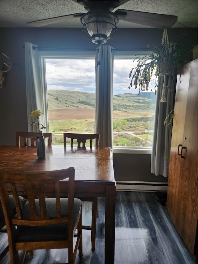 dining room featuring dark hardwood / wood-style floors, a rural view, a wealth of natural light, and a baseboard radiator