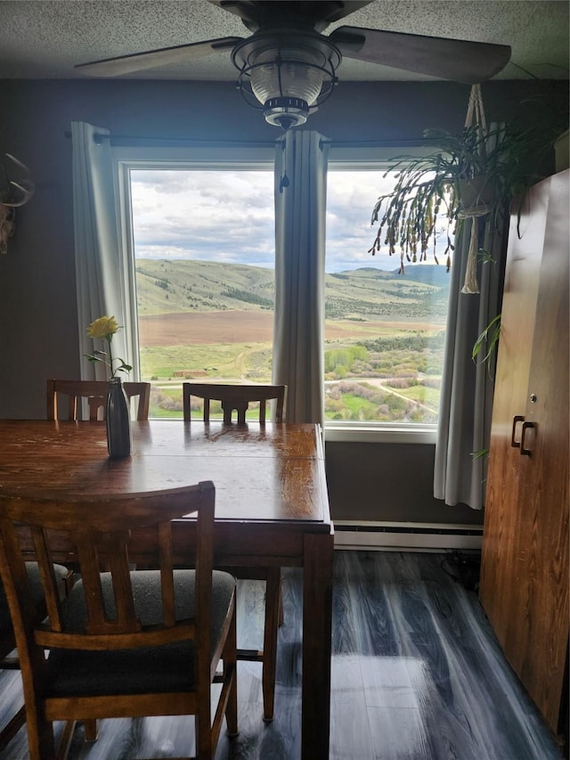59 N Fork Rd, Townsend, MT 59644 - dining space featuring a baseboard radiator, a ceiling fan, and wood finished floors