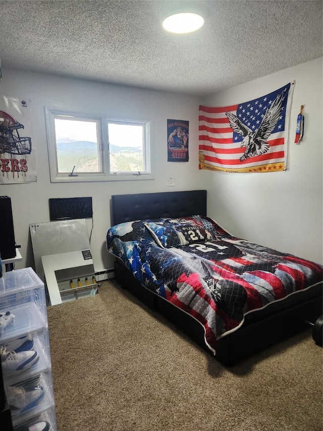 59 N Fork Rd, Townsend, MT 59644 - bedroom with a textured ceiling, carpet flooring, and baseboard heating