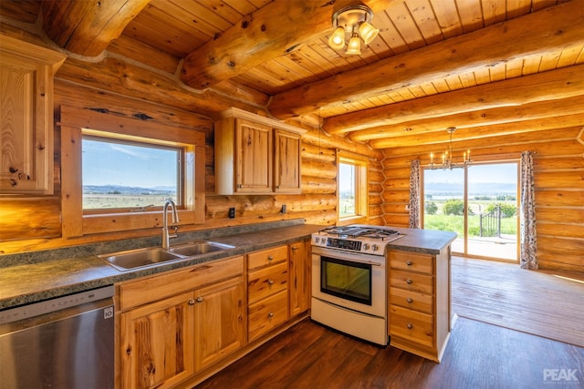 kitchen featuring dishwasher, range with gas stovetop, plenty of natural light, and sink