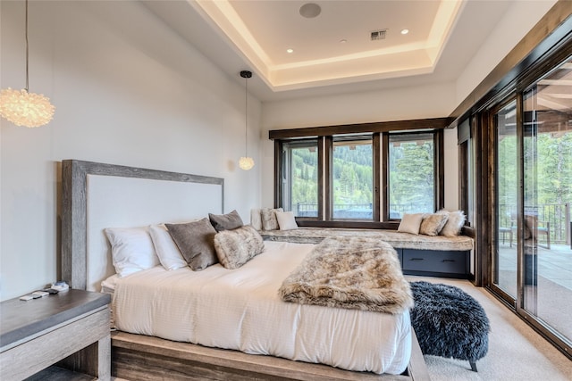 bedroom with access to exterior and a tray ceiling