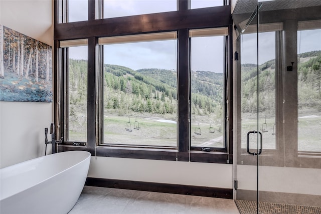 bathroom featuring a bath and a healthy amount of sunlight