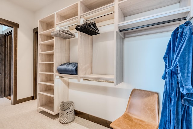 walk in closet featuring carpet flooring