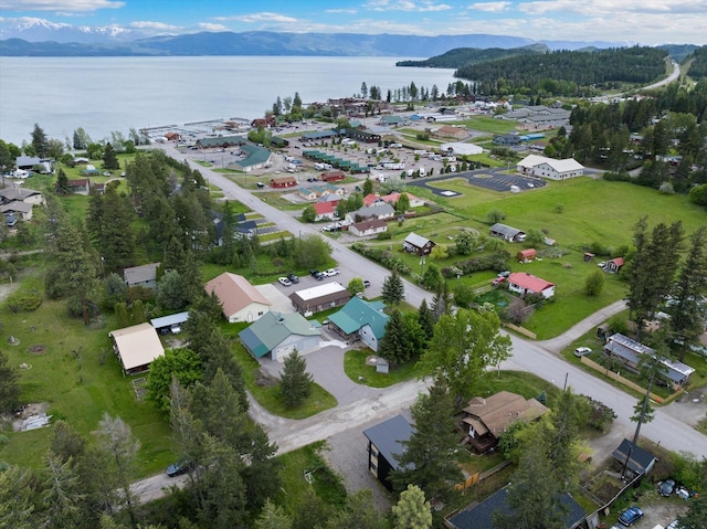 bird's eye view featuring a water and mountain view