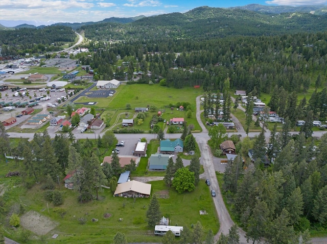 bird's eye view with a mountain view