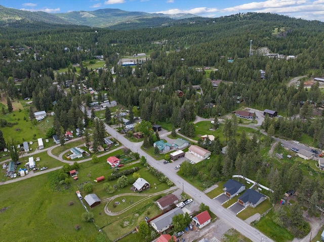 drone / aerial view featuring a mountain view