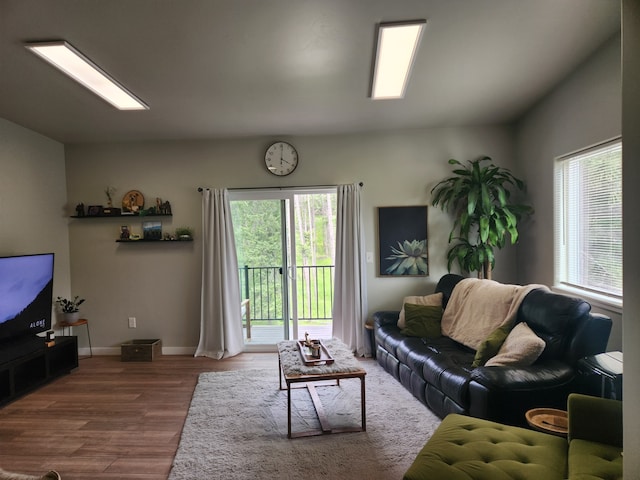 living room featuring wood-type flooring