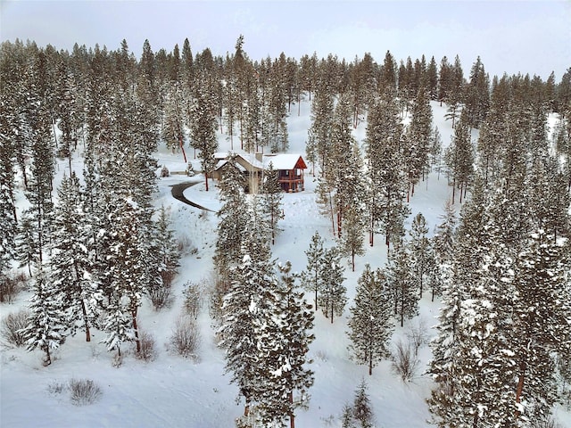 view of snowy aerial view