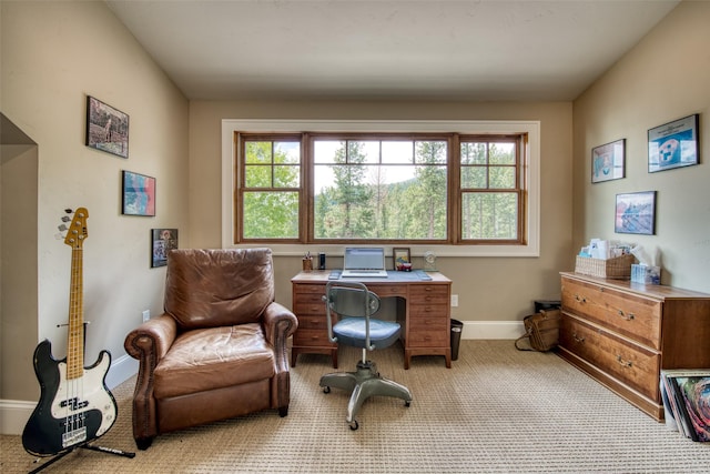 home office with light colored carpet and a wealth of natural light