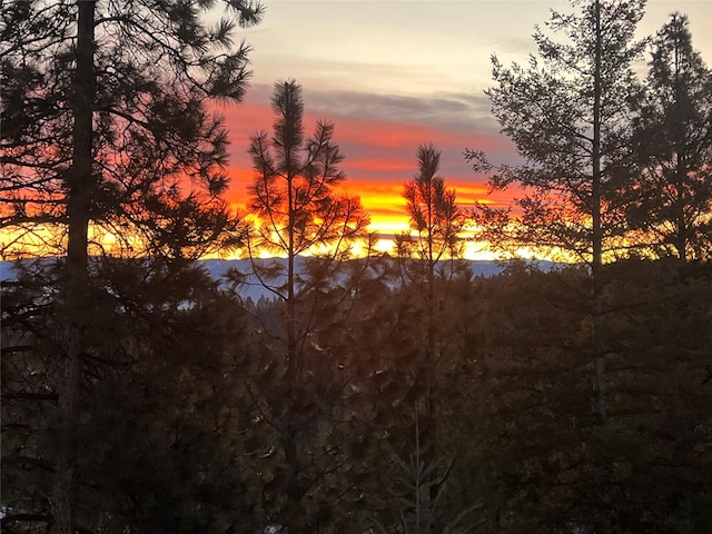 view of nature at dusk