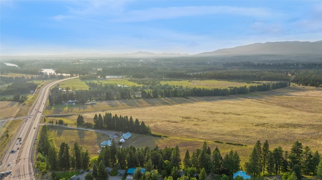 birds eye view of property with a mountain view and a rural view