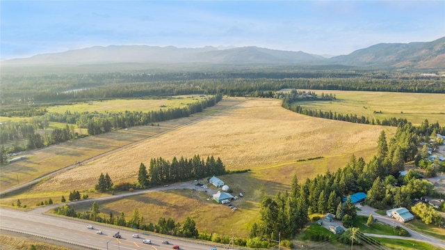 bird's eye view with a mountain view