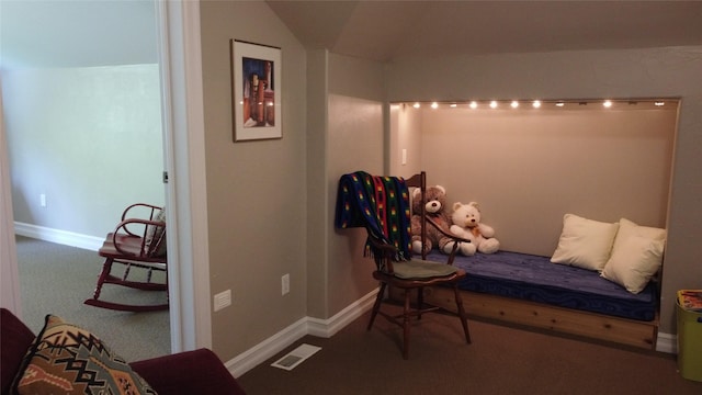 38648 Masumola Rd, Polson, MT 59860 - bedroom featuring baseboards, carpet flooring, visible vents, and vaulted ceiling