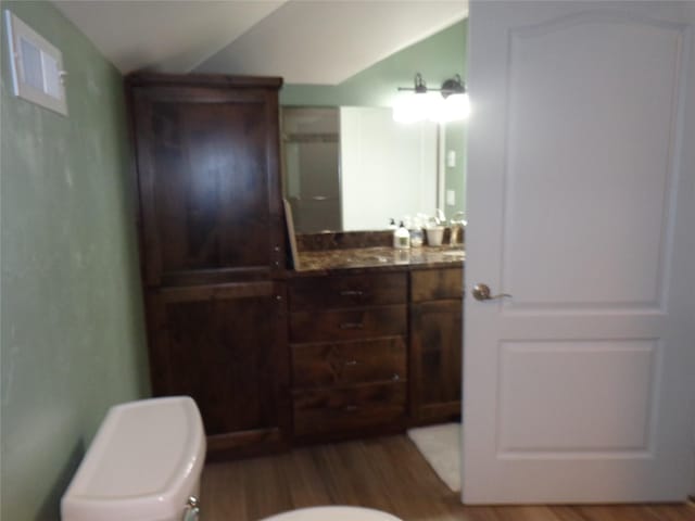 38648 Masumola Rd, Polson, MT 59860 - bathroom with lofted ceiling, wood finished floors, toilet, and vanity