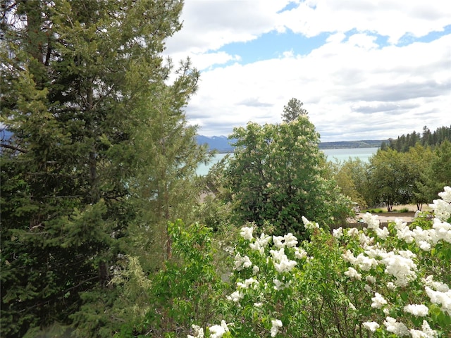 38648 Masumola Rd, Polson, MT 59860 - property view of water