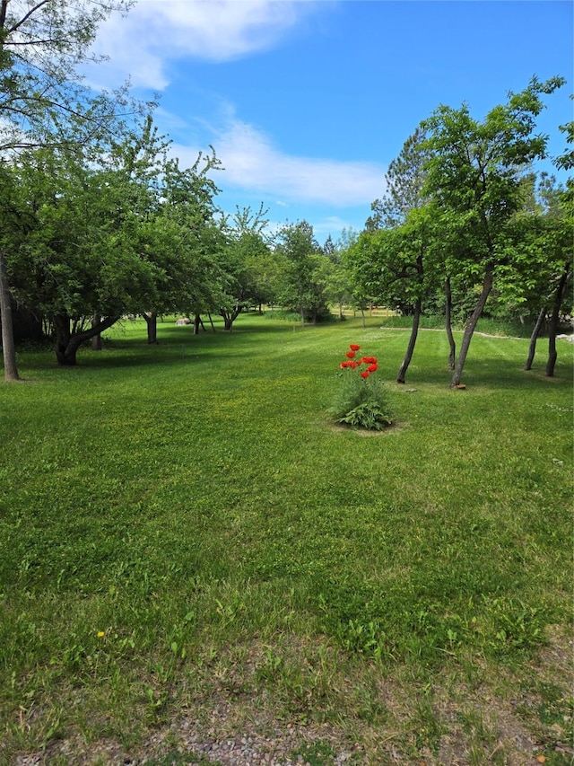 38648 Masumola Rd, Polson, MT 59860 - view of yard