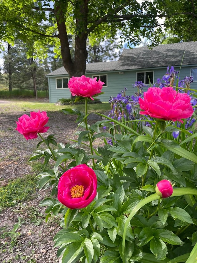 38648 Masumola Rd, Polson, MT 59860 - view of details