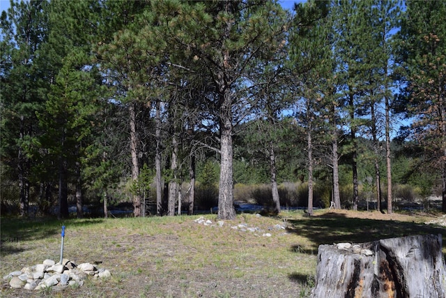 9315 W Fork Rd, Darby MT, 59829 land for sale