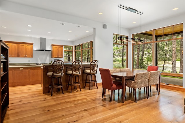 dining room with light hardwood / wood-style flooring