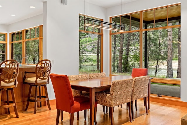 dining space with sink and light hardwood / wood-style flooring