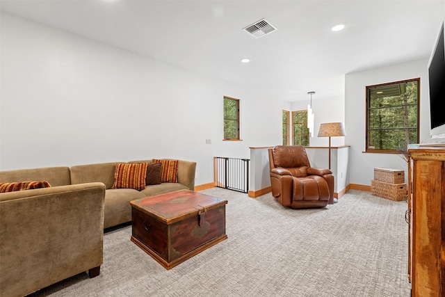 living room with carpet