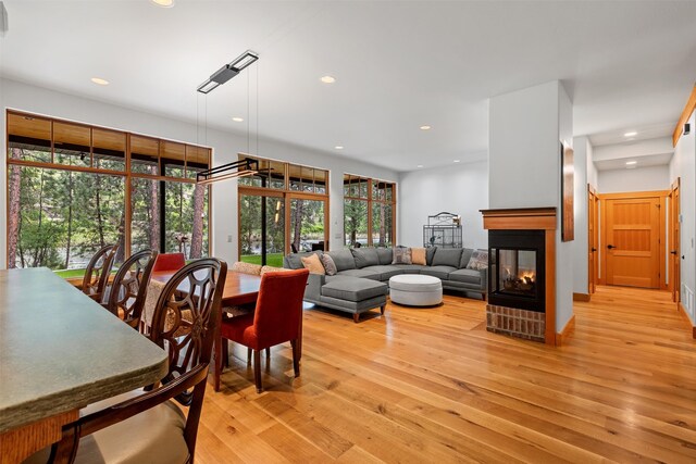 living room featuring wood-type flooring