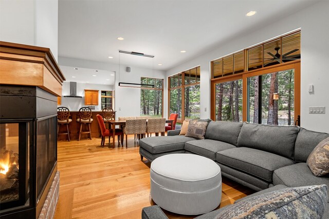 living room featuring a multi sided fireplace and light hardwood / wood-style floors