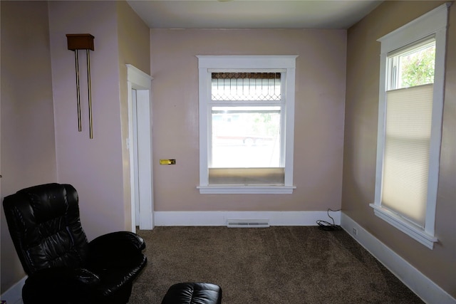 unfurnished room with carpet