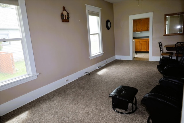 carpeted living room with a healthy amount of sunlight