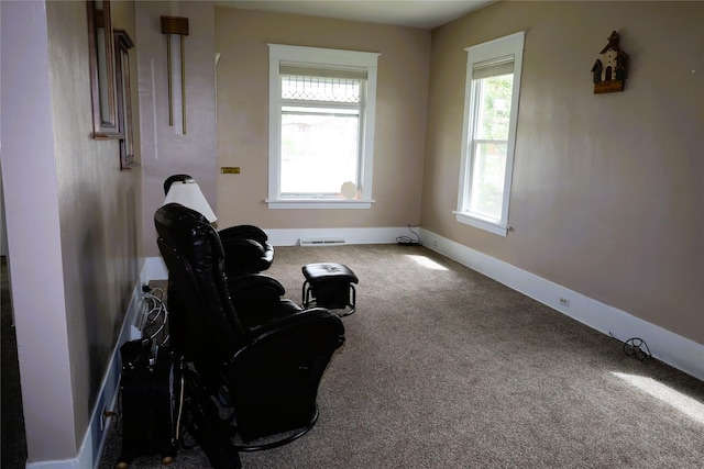 living area featuring a wealth of natural light and carpet