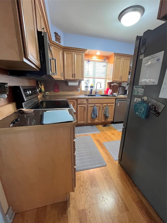 kitchen featuring sink, light hardwood / wood-style floors, and appliances with stainless steel finishes