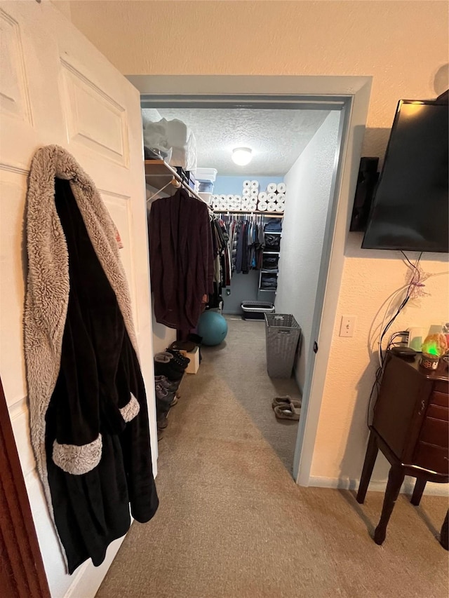 spacious closet with carpet floors