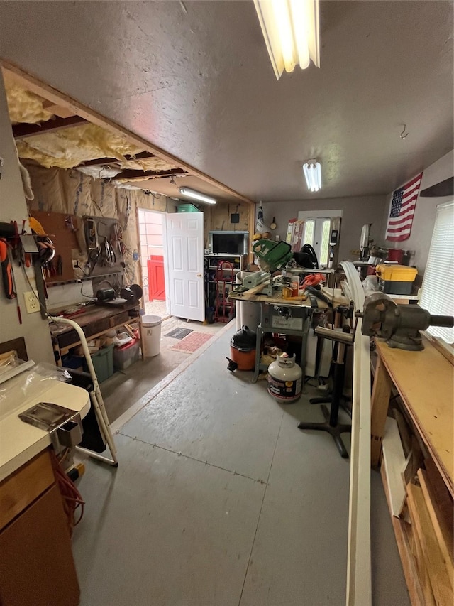 basement featuring a workshop area and a wealth of natural light