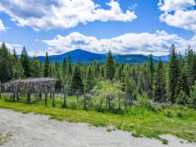 view of mountain feature