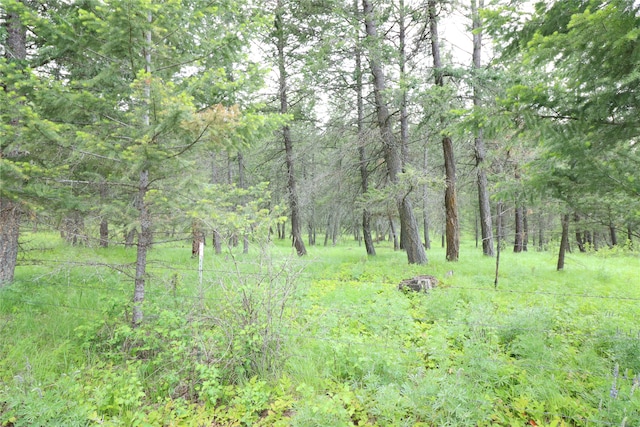 Listing photo 3 for NHN Black Lake Rd, Rexford MT 59930