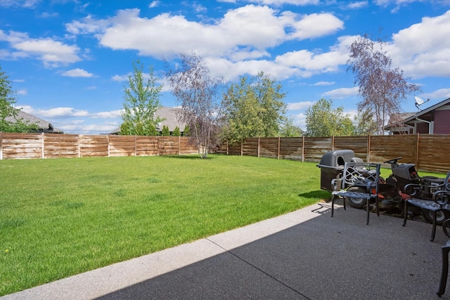 view of yard featuring a patio and a fenced backyard