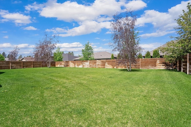 view of yard featuring a fenced backyard