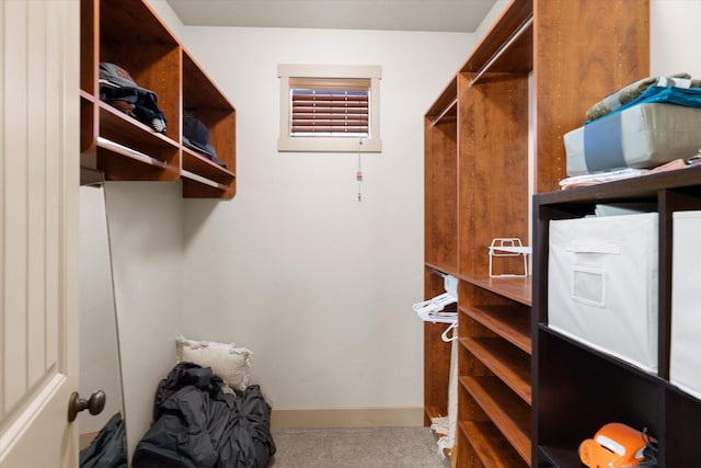 walk in closet with carpet floors