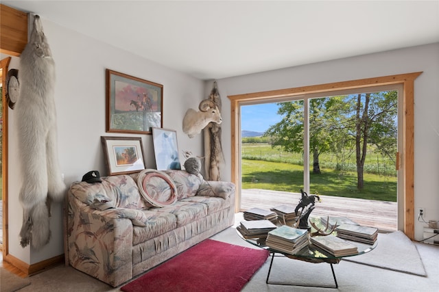 living room featuring carpet flooring