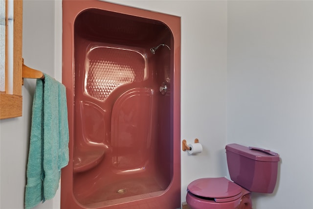 625 Middle Burnt Fork Rd, Stevensville, MT 59870 - full bath featuring a walk in shower and toilet