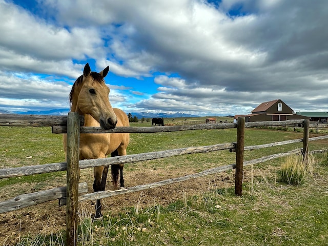 view of yard featuring a rural view