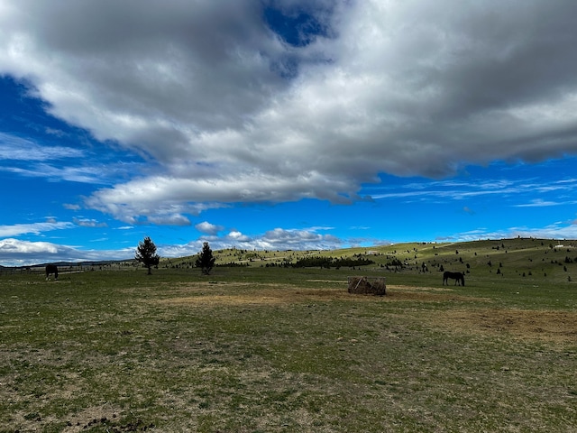 view of yard with a rural view