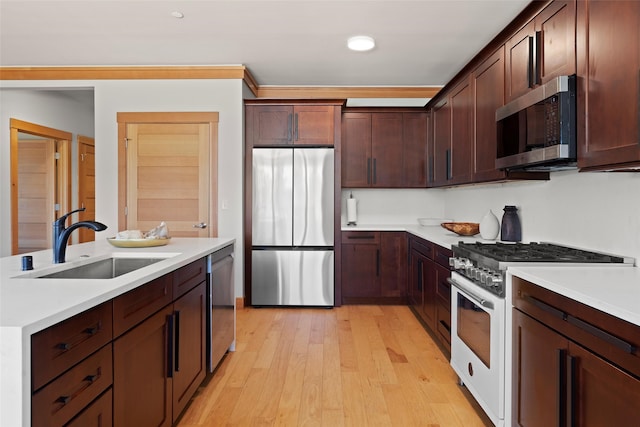 kitchen featuring sink, ornamental molding, stainless steel appliances, dark brown cabinets, and light hardwood / wood-style flooring