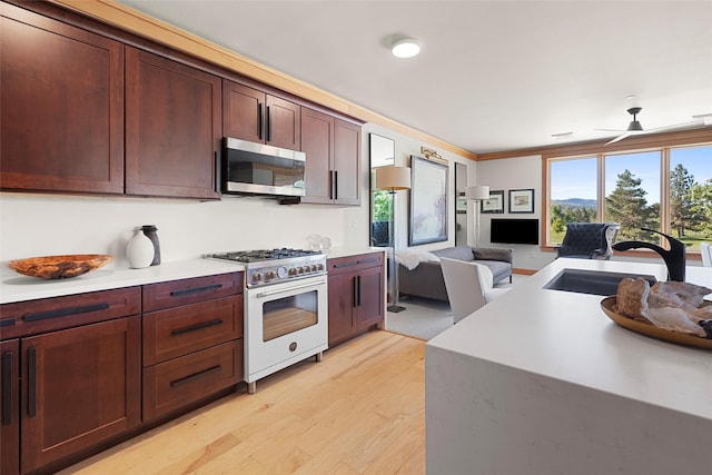 kitchen with sink, crown molding, light hardwood / wood-style flooring, ceiling fan, and appliances with stainless steel finishes