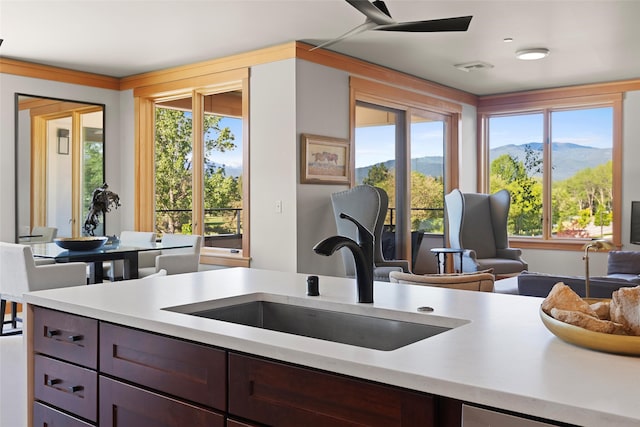 kitchen featuring ceiling fan, sink, and dark brown cabinets